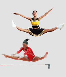 Form Form
